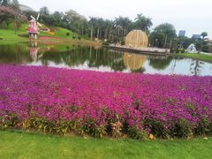 -广州市白云山风景名胜区