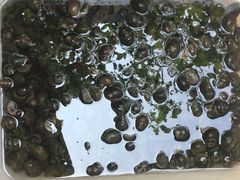 -西江河鲜·趣苑酒楼(鼎湖店)