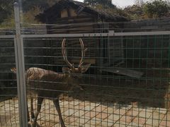 -清风小镇闯关东影视基地
