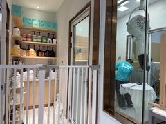 -PET WISH宠物愿望(BFC外滩金融中心店)