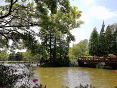 -上海滨江森林公园