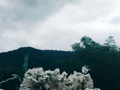-呀诺达热带雨林