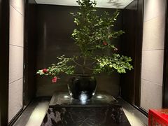 -曲水兰亭(北京四惠店)