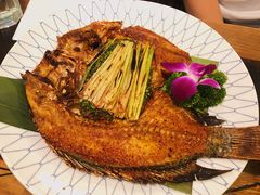 -紫滇源云南生态菜(丹凤街店)