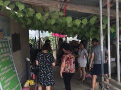 -马陆小张葡萄园农家乐