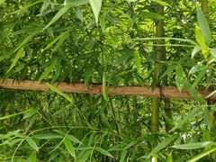 -天津盘山风景名胜区