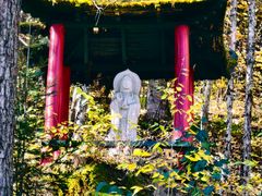 -五营红松林海景区