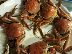 -小六农家乐(崇明西沙湿地店)