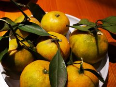 -丹江渔村(望京店)