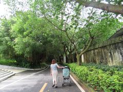 -广东茂名森林公园