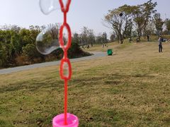 -盘龙城国家考古遗址公园