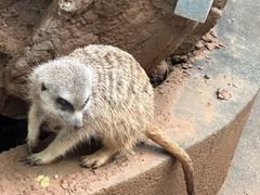 -石家庄市动物园