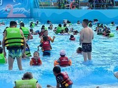 -海合安成都极地海洋公园