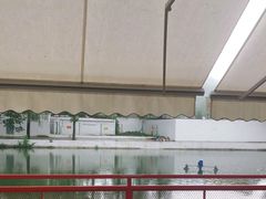 -向外鱼乐·土菜·虹鳟鱼