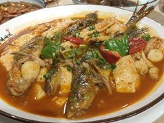 昂刺鱼烧豆腐-村理食堂(小茅山脚店)