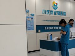 -小伙伴宠物医院·CT·骨科·眼科(高新店)