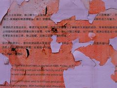 -珠江琶醍