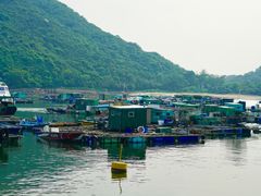 -南丫岛