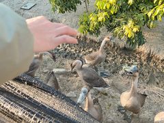 -新塘水果乐园(东洲大道店)