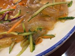 东北大拉皮-邵年鸽(杨庄店)