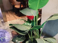 -海上食代(赣江新天地店)