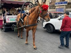 -天津五大道文化旅游区