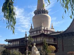 -张掖大佛寺景区