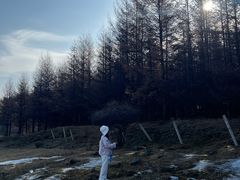 -芦芽山旅游度假区