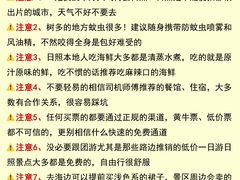 -日照灯塔风景区