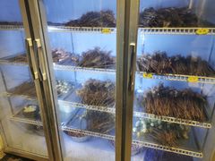 -长药唐师乐山油炸(石人直营店)