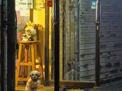 门面-志龙皇冠吃货椰子铺