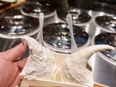 -野人先生Gelato(上海长宁龙之梦店)