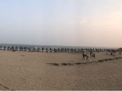 iphone_upload_pic-老虎石海上公园