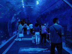 -成都浩海立方海洋公园