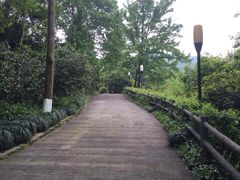-杭州少年儿童公园