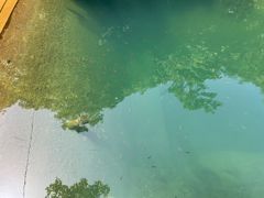 -白云源风景区