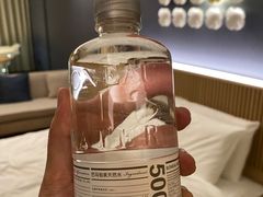 -北京崇文门桔子水晶酒店