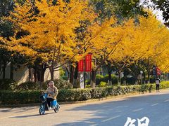 -南京航空航天大学(将军路校区)