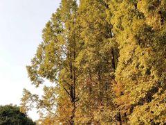 -东坡赤壁风景名胜区