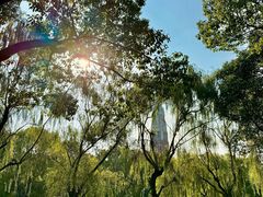 -华东政法大学(松江校区)