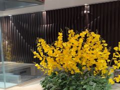 -青岛海泉湾皇冠假日度假酒店-天海日餐厅