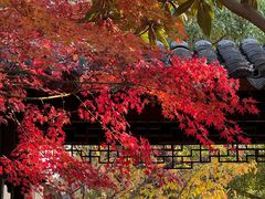-尚湖风景区