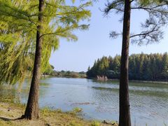 -贡湖湾湿地公园