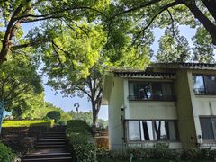 -上海市保健医疗中心