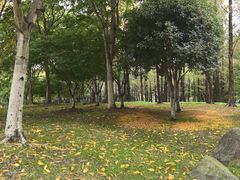 -浙江大学(海宁国际校区)