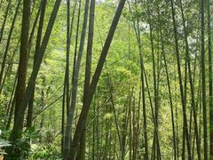 -千泷沟大瀑布旅游区