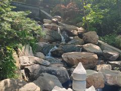 -大连植物园