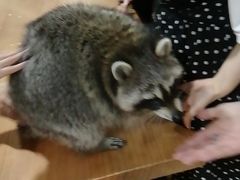 -藦茜花园宠物主题亲子互动体验馆(国顺东路店)