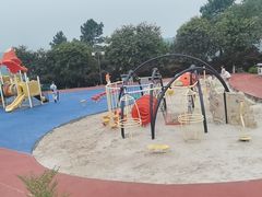 -铁山坪森林公园