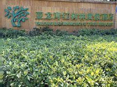 -三亚亚龙湾红树林度假酒店